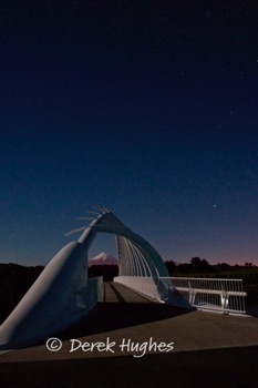 Te-Rewa-Rewa-Bridge-6438